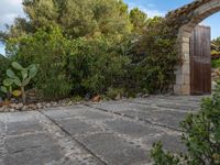 Balearic Islands: Agricultural Landscape on a Cloudy Day