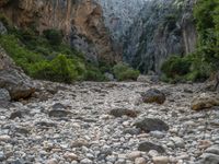 Balearic Islands Canyon: A Day of Exploration