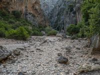 Balearic Islands Canyon: A Day of Exploration