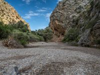 the water is flowing through the rocks and green trees in the gorge, with a light dustin