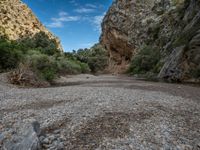 the water is flowing through the rocks and green trees in the gorge, with a light dustin