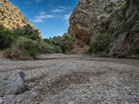 the water is flowing through the rocks and green trees in the gorge, with a light dustin