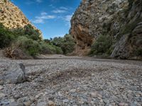 the water is flowing through the rocks and green trees in the gorge, with a light dustin