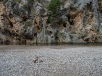 Nature's Canyon in the Balearic Islands