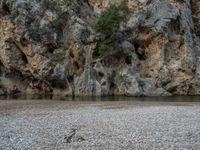 Nature's Canyon in the Balearic Islands