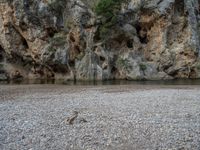 Nature's Canyon in the Balearic Islands