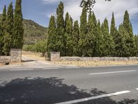 Balearic Islands, Europe: An Asphalt Lane Lined with Trees