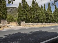 Balearic Islands, Europe: An Asphalt Lane Lined with Trees