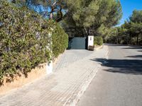 Balearic Islands Landscape: Nature and Clear Sky