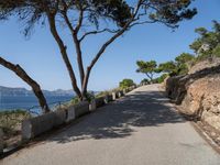 a paved road going down to the water next to trees and a cliff with sea view