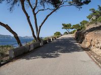 a paved road going down to the water next to trees and a cliff with sea view