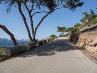 a paved road going down to the water next to trees and a cliff with sea view