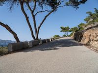 a paved road going down to the water next to trees and a cliff with sea view