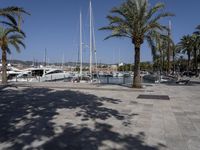 Balearic Islands, Mallorca: Clear Sky Day