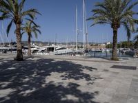 Balearic Islands, Mallorca: Clear Sky Day