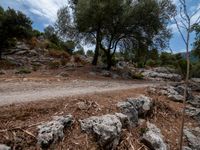 Balearic Islands Mountain Landscape: A Snapshot of Europe