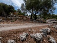 Balearic Islands Mountain Landscape: A Snapshot of Europe