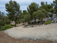 Nature's Beauty in Balearic Islands: Rock Wall and Landscape