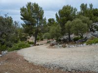 Nature's Beauty in Balearic Islands: Rock Wall and Landscape