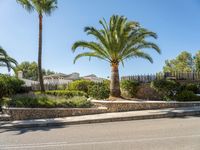 Residential Road in the Balearic Islands: A Serene Landscape