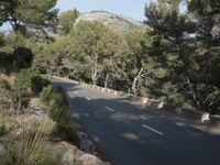 a paved road surrounded by trees and pinery trees with a view of mountains in the distance