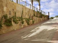 Balearic Islands, Spain: Exploring Mallorca and Fuerteventura