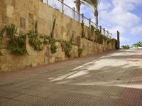 Balearic Islands, Spain: Exploring Mallorca and Fuerteventura