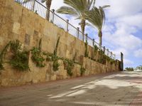 Balearic Islands, Spain: Exploring Mallorca and Fuerteventura
