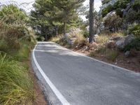 Scenic Road Mountain Pass in Balearic Islands, Spain - 003