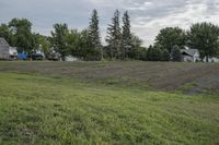 Bancroft Iowa Open Space with Tree and Grass