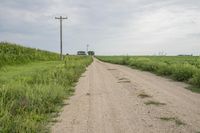 Bancroft Iowa: Road Through Fields 002