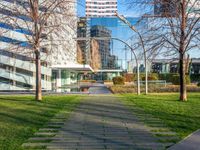 a walkway that runs through a grassy field area between tall buildings and grassy lawn with several bushes in the foreground