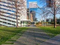 a walkway that runs through a grassy field area between tall buildings and grassy lawn with several bushes in the foreground