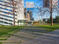 a walkway that runs through a grassy field area between tall buildings and grassy lawn with several bushes in the foreground