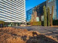 an open courtyard area has green grass, trees, and buildings on the other side