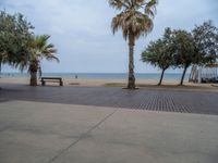 Barcelona's Coastal Open Space Under a Grey Sky