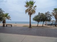 Barcelona's Coastal Open Space Under a Grey Sky