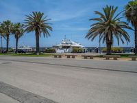 Coastal Road in Barcelona: Clear Sky and Palm Trees