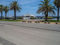 Coastal Road in Barcelona: Clear Sky and Palm Trees