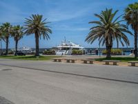 Coastal Road in Barcelona: Clear Sky and Palm Trees