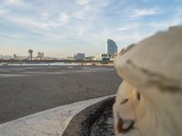 Barcelona at Dawn: Modern Architecture along the Coastline