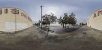 the reflection of some building, street and trees in a lensball picture, taken with a fisheye lens