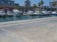 Barcelona's Modern Architecture Jetty