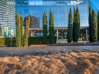 a group of trees in front of a large building on top of grass and trees