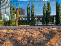 a group of trees in front of a large building on top of grass and trees