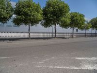 Barcelona's Modern Architecture: A Tree-Lined Road