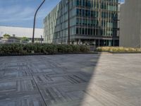 a picture of a parking lot next to the building and tree lined streetlights and bushes