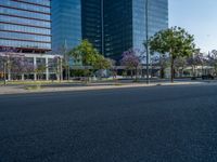 an empty street in front of a building and trees on the other side of the road