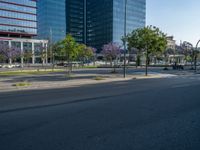 an empty street in front of a building and trees on the other side of the road