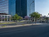 an empty street in front of a building and trees on the other side of the road